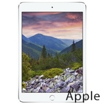 Ремонт Apple iPad mini 3 в Красноярске