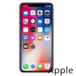 Ремонт iPhone X(10) в Красноярске